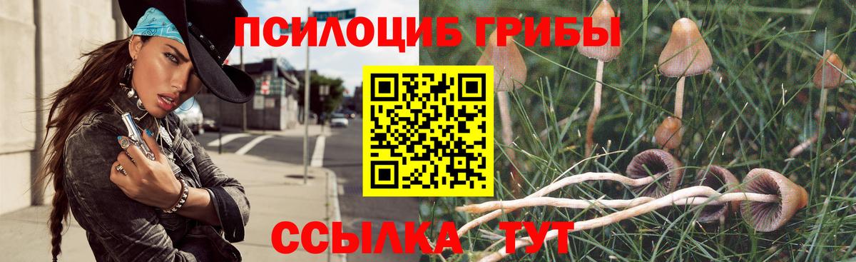 Псилоцибиновые грибы мицелий  Вход с VPN  Камышин 