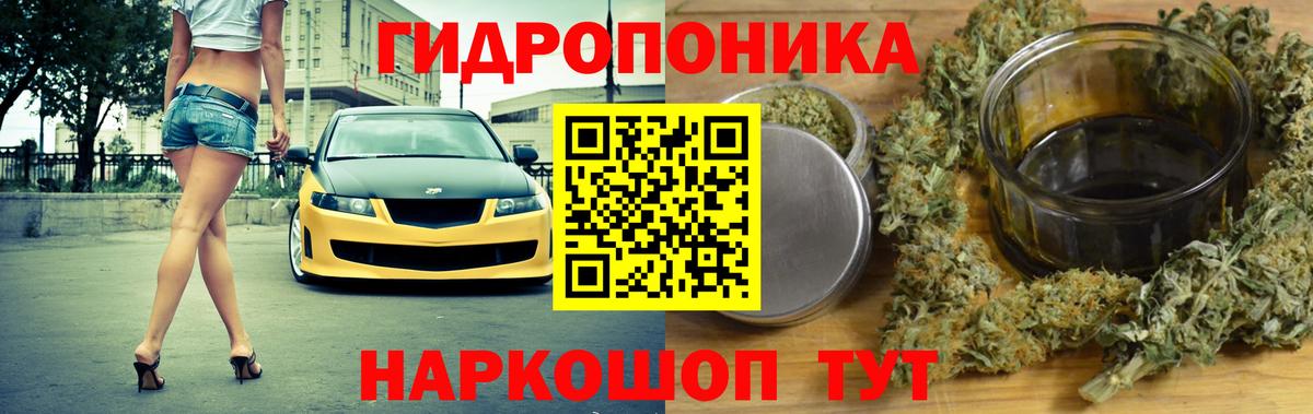 Марихуана марихуана  Марихуана тримм  Марихуана Amnesia  Вход с VPN  Камышин 